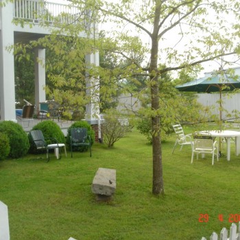 Camera 1230 014 Medium